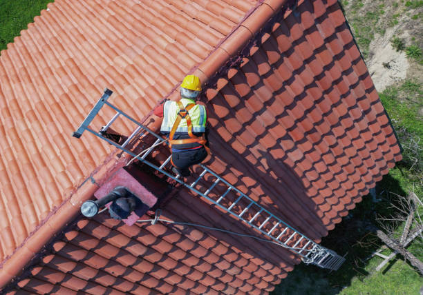 Best Roof Moss and Algae Removal  in Brushy Creek, TX